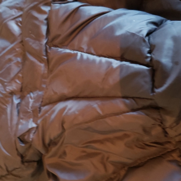 NWT! 🎉2XHost Pick🎉Eddie Bauer Microlight Down Parka - Picture 13 of 15